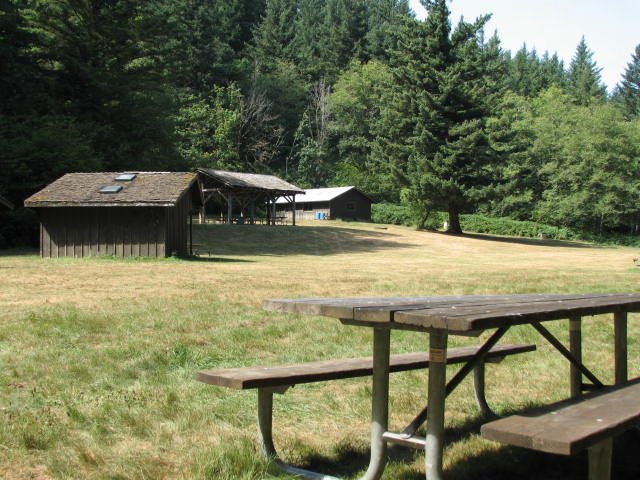 Camp shelter in a green meadow ringed by forest